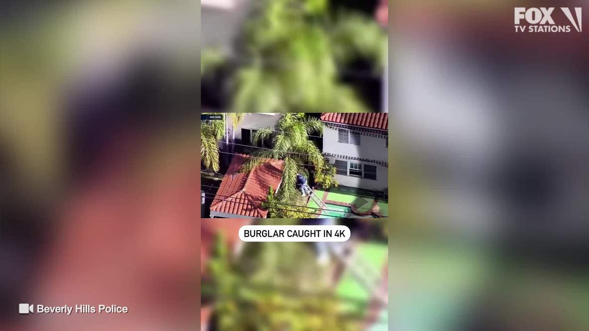 Burglary fail caught on video